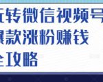 玩转微信视频号爆款涨粉赚钱全攻略,让你快速抓住流量风口,收获红利财富-52资源库