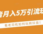 老古董·抖音月入5万引流玩法，看看老司机如何玩转抖音(附赠：抖音另类引流思路)-52资源库