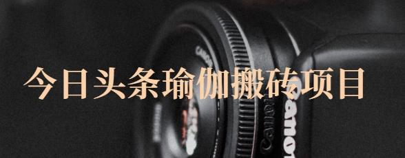 猎人社区·今日头条瑜伽搬砖项目，单号一天几十收入，可以批量操作！-52资源库