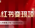渣圈学苑·小红书虚拟资源变现项目,一起捞钱掘金价值1099元-52资源库