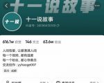 十一说故事·故事性中视频，观众快速共鸣从而快速变现的中视频玩法-52资源库