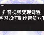 抖音短视频变现课程:带你学习如何制作带货+打造IP【41节】-52资源库