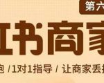 贾真-小红书商家营第6期商家版,21天带货陪跑课,让商家丢掉付流量-52资源库