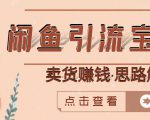 闲鱼引流宝妈粉+卖货赚钱一个月收益30000+(实操视频教程)-52资源库