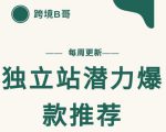 【跨境B哥】独立站潜力爆款选品推荐,测款出单率高达百分之80-52资源库