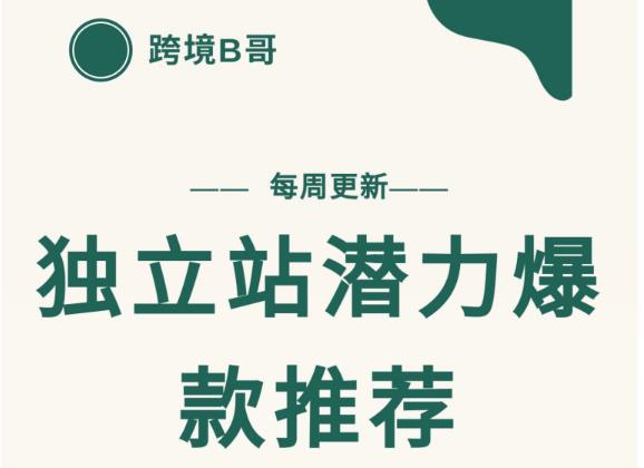 【跨境B哥】独立站潜力爆款选品推荐，测款出单率高达百分之80-52资源库