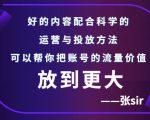 张sir账号流量增长课,告别海王流量,让你的流量更精准-52资源库