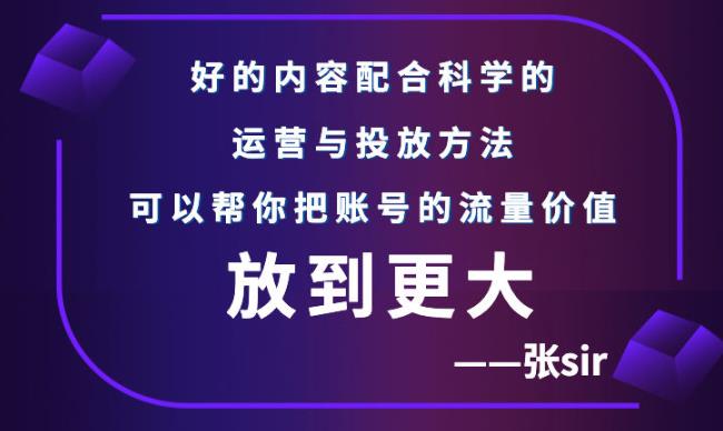 张sir账号流量增长课，告别海王流量，让你的流量更精准-52资源库