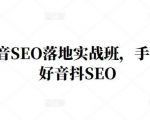 王通·抖音SEO落地实战班,手手带你做好音抖SEO-52资源库