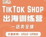疯人院:TikTok Shop出海训练营(一店卖全球),出海抢占全球新流量-52资源库