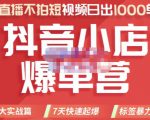 推易电商·2022年抖音小店爆单营,不直播、不拍短视频、日出1000单,暴力玩法-52资源库