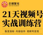 张萌21天视频号实战训练营,裂变涨粉、内容创作、视频号变现 价值298元-52资源库