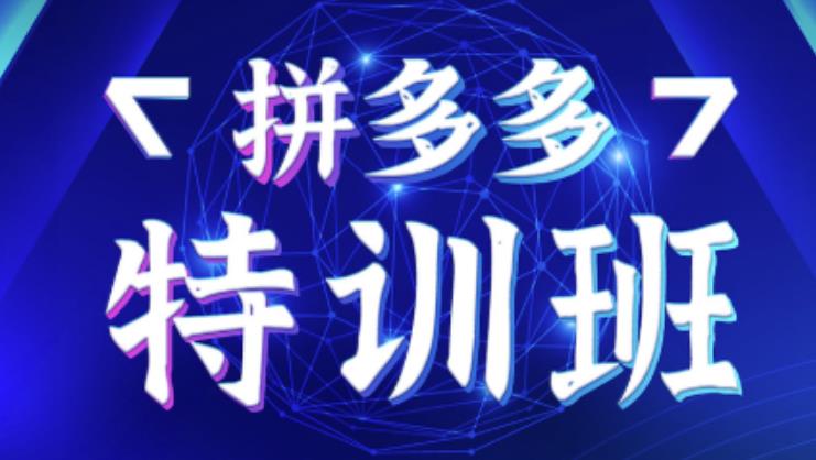 星雪教育·拼多多基础班+进阶班+突破班，用系统的学习模式快速改变现状价值3580元-52资源库