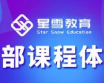 星雪教育淘系高级班，更全的运营提升方案，零基础由浅入深，店铺最新玩法-52资源库