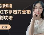苏歆:小红书穿透式营销收割攻略,引爆流量,助你玩转小红书-52资源库