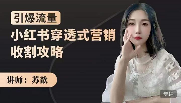 苏歆：小红书穿透式营销收割攻略，引爆流量，助你玩转小红书-52资源库
