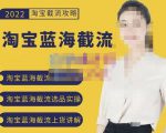 2022淘宝蓝海截流攻略,淘宝蓝海截流选品上货实操讲解-52资源库