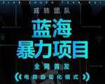 引流哥蓝海暴力躺赚项目：无需发圈无需引流无需售后，每单赚50-500（教程+线报群)-52资源库