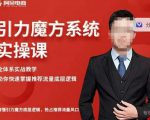 阿呆-引力魔方系统实操课，全体系实战教学，助你快速掌握推荐流量底层逻辑-52资源库