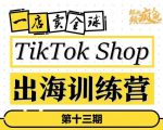 TikTokShop出海训练营(第十三期),打开全球流量新思维,出海抢占全球新流量,一店卖全球-52资源库