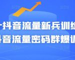 Peter抖音流量新兵训练营-破解抖音流量密码群爆训练营（新兵）-52资源库