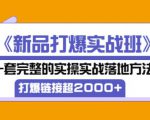 凌童《新品打爆实战班》,一套完整的实操实战落地方法,打爆链接超2000+(28节课)-52资源库