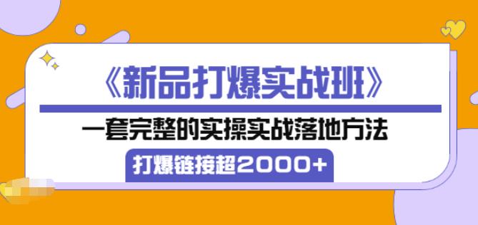 凌童《新品打爆实战班》,一套完整的实操实战落地方法，打爆链接超2000+（28节课)-52资源库