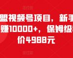 猎人联盟视频号项目,新手0基础轻松月赚10000+,保姆级教程原价4988元-52资源库