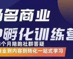 杨名商业IP孵化训练营,从商业到内容到转化一站式学 价值5980元-52资源库