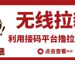 最新接码无限拉新项目，利用接码平台赚拉新平台差价，轻松日赚500+-52资源库