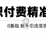 玩转知识付费项目精准引流,给你1套课多账号操作落地方案!-52资源库