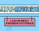玩转微信视频号赚钱：小白变大咖涨粉百万实现快速变现1000万的现金流-52资源库