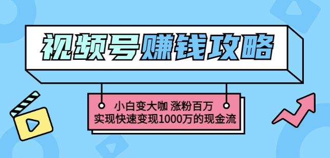 玩转微信视频号赚钱：小白变大咖涨粉百万实现快速变现1000万的现金流-52资源库