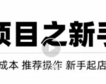 虚拟项目快速起店模式,0成本打造月入几万虚拟店铺!-52资源库