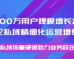 8000万用户规模增长方法论私域精细化运营增长,私域流量硬课助力业务跃迁-52资源库