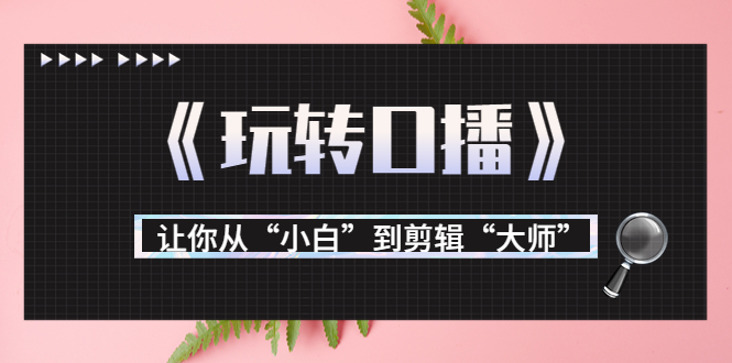 月营业额700万+大佬教您《玩转口播》让你从“小白”到剪辑“大师”-52资源库