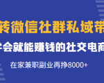 玩转微信社群私域带货,学会就能赚钱的社交电商,在家兼职副业再挣8000+-52资源库