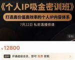 个人IP吸金密训班,打造高价值高效率的个人IP内容体系(价值12800元)-52资源库