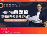 0粉0作品自然流正价起号及稳号全教程,专业自然流起号机构流程化教学(价值2980元)-52资源库