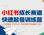 小红书成长赛道快速起号训练营,不露脸不写长文不拍视频,0粉丝冷启动变现之路-52资源库