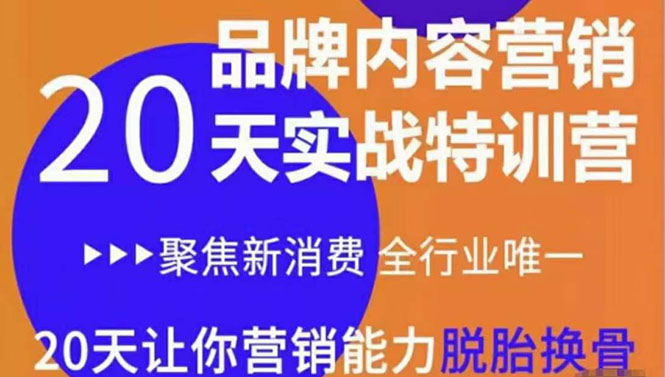 《内容营销实操特训营》20天让你营销能力脱胎换骨（价值3999）-52资源库