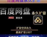 百度网盘无限扩容技术,外面卖399的,无论自己用还是用做引流都可以-52资源库