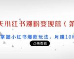 21天小红书涨粉变现营(第3期):带你掌握小红书爆款玩法,月赚10W+秘密-52资源库