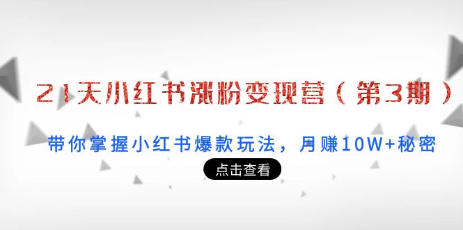 21天小红书涨粉变现营（第3期）：带你掌握小红书爆款玩法，月赚10W+秘密-52资源库