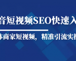 抖音短视频Seo搜索排名优化新手快速入门教程,实体商家短视频,精准引流实操课-52资源库