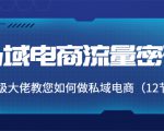 私域电商流量密码:千万级大佬教您如何做私域电商(12节课)-52资源库