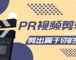 PR视频剪辑课:各种剪辑与视频特效玩法,剪出属于你的大片-52资源库