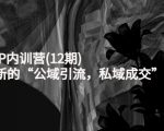 新媒体IP内训营(12期),一套全新的“公域引流,私域成交”IP打法,直接带走-52资源库