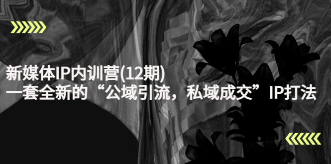 新媒体IP内训营(12期)，一套全新的“公域引流，私域成交”IP打法，直接带走-52资源库