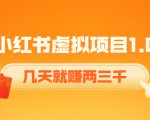 《小红书虚拟项目1.0》账号注册+养号+视频制作+引流+变现,几天就赚两三千-52资源库